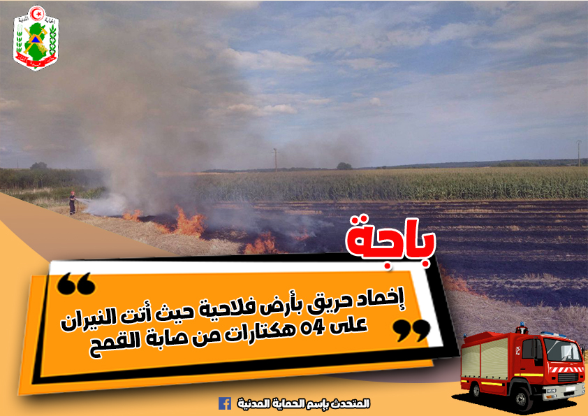 باجة/ 7 حرائق في شهر والانطلاق في تنفيذ خطة حماية الـ”صابة”