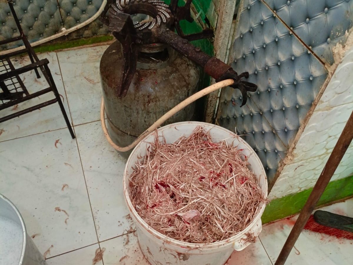 صور مقززة لمسلخ عشوائي لذبح الدجاج بالتضامن