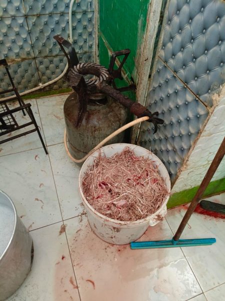 صور مقززة لمسلخ عشوائي لذيح الدجاج بالتضامن