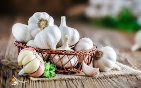 فص ثوم واحد كل ليلة يكسبك 5 فوائد صحية مذهلة فص ثوم واحد كل ليلة يكسبك 5 فوائد صحية مذهلة