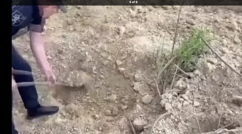 فيديو لإخراج رجل محظوظ دُفن حيا بحديقة