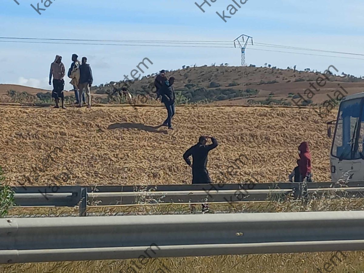 منتدى الحقوق الاجتماعية: هذا ما يتم التخطيط له بعد نقل الافارقة الى ولايات الشمال