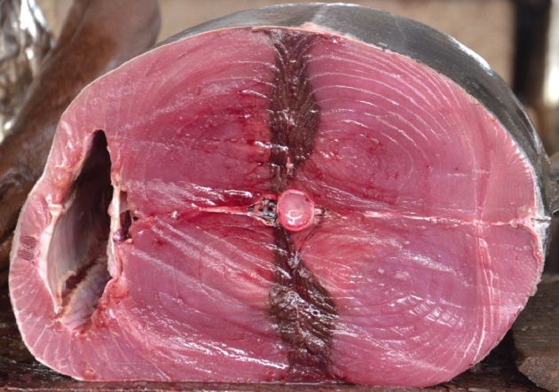 وزارة الفلاحة تضبط قيمة كيلوغرام التن الأحمر