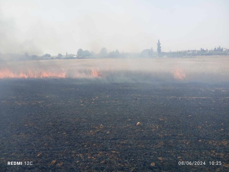 الكاف.. السيطرة على حريق طال 3 هكتارات قمح (صور)