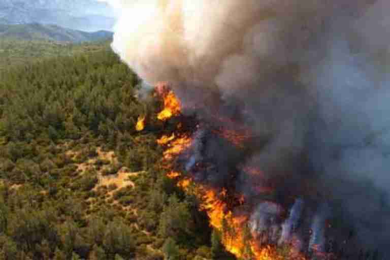 اندلاع حريقين في باجة