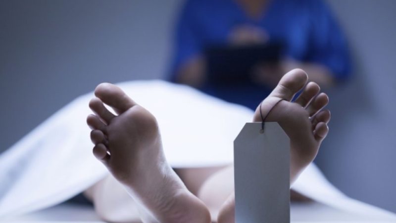 بطاقة ايداع بالاصلاحية ضد طفل يبلغ من العمر 13 سنة