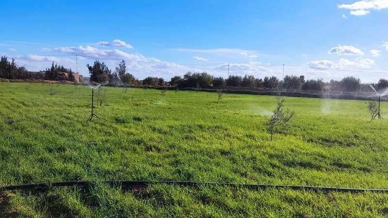 بلاغ يهم الراغبين في الاستثمار في الحبوب السقوية