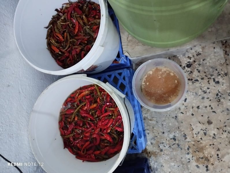 مجاز الباب.. مداهمة 4 مستودعات وحجز مواد منتهية الصلوحية