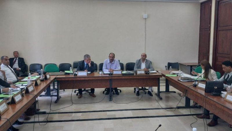 مقرر لجنة الشريع العام... مشروع تنقيح الفصل 411 مخيب للآمال