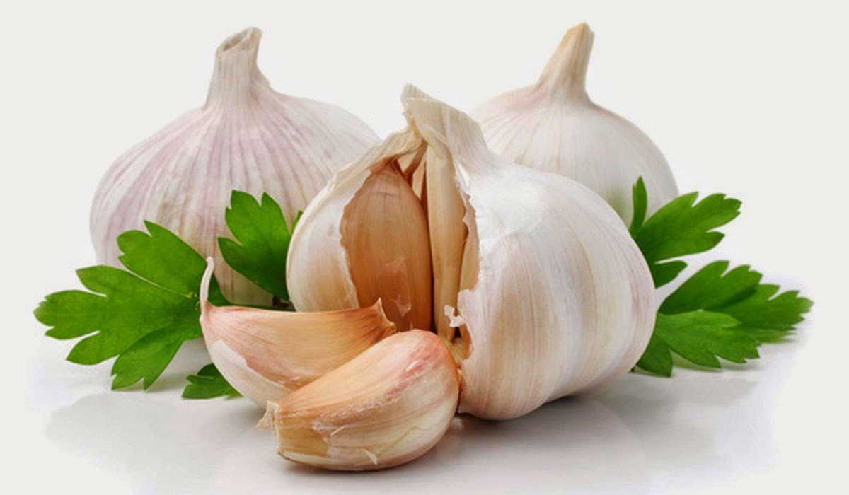 علماء: الثوم يخفض مستوى السكر في الدم
