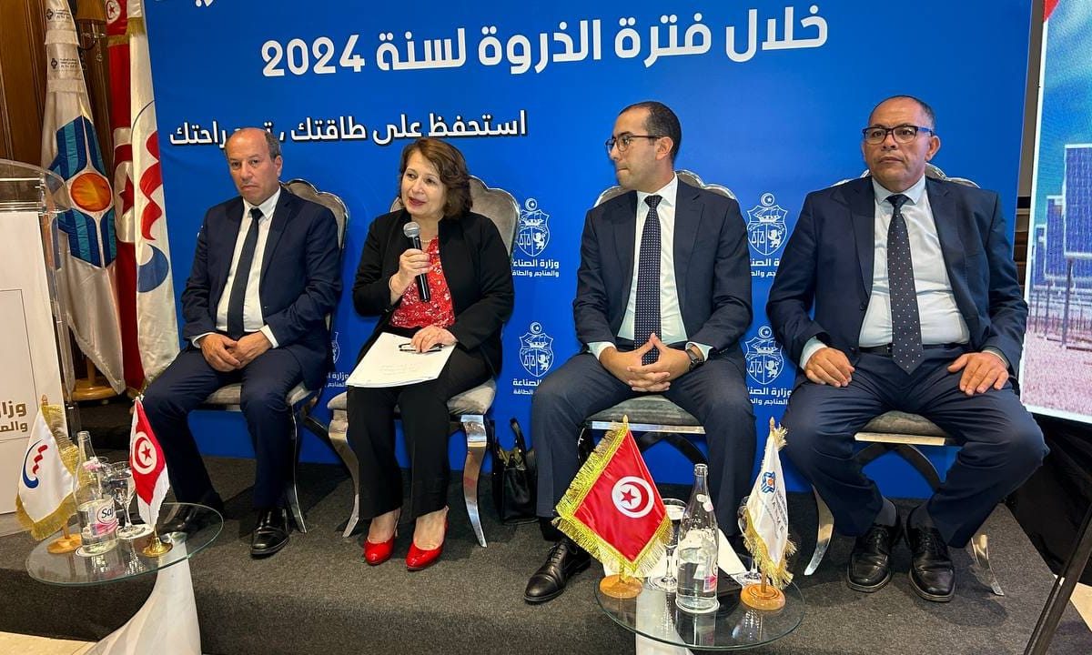وزيرة الطاقة تدعو لتأمين صائفة بأقل انقطاعات كهربائية