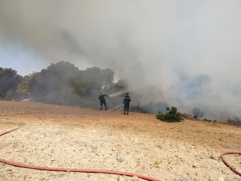  إخماد حريق إندلع بغابة ببرقو