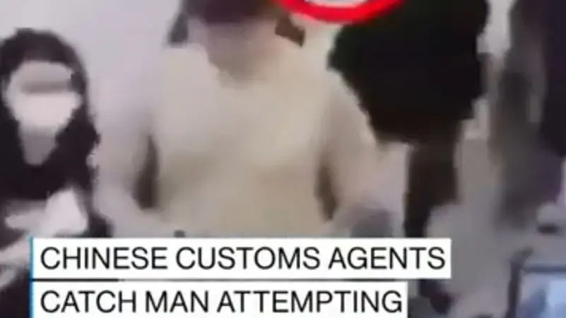 ايقاف رجل يُخفي 104 ثعابين في ملابسه الداخلية