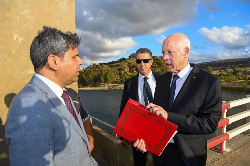 سعيد... قطع المياه جريمة تمس بالأمن القومي