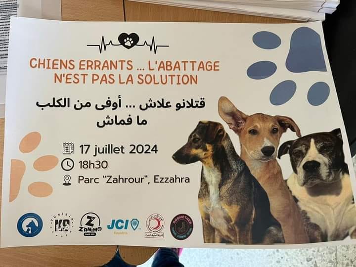 الزهراء/ تظاهرة تطرح بدائل لقنص الكلاب السائبة