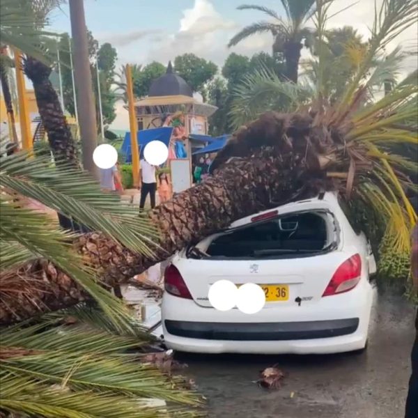 اثار زوبعة نابل