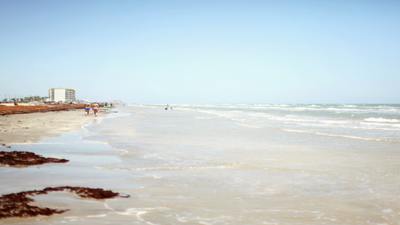 ديدان نارية تغزو الشواطئ الأمريكية!