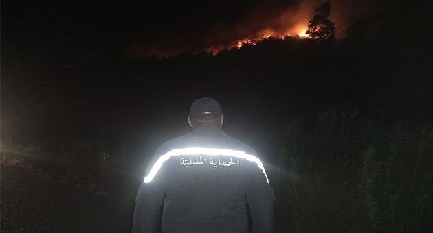 سليانة/ السيطرة على حريق جبل برقو