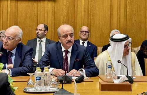 وزير الخارجية يدعو إلى توحيد الموقف العربي إزاء حرب غزة