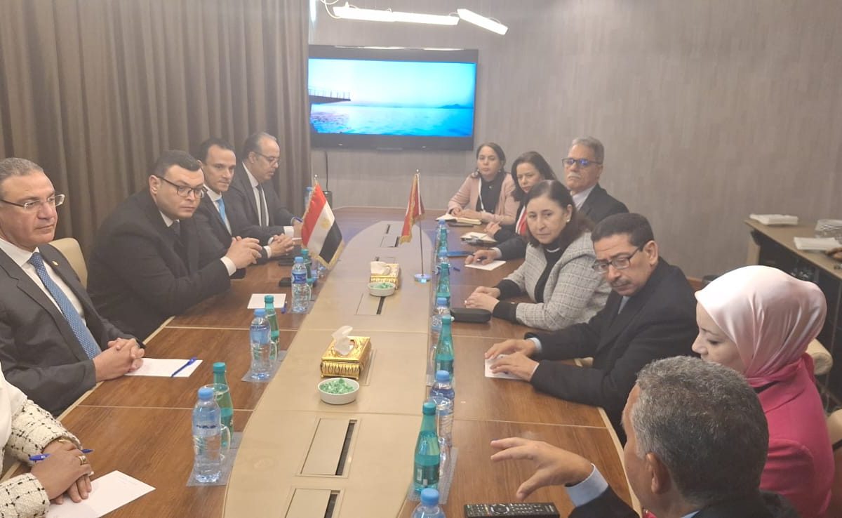 نحو تكوين مجامع لانجاز مشاريع كبرى بين تونس ومصر