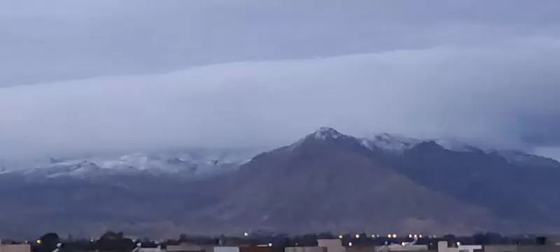 تساقط الثلوج على مرتفعات الشعانبي