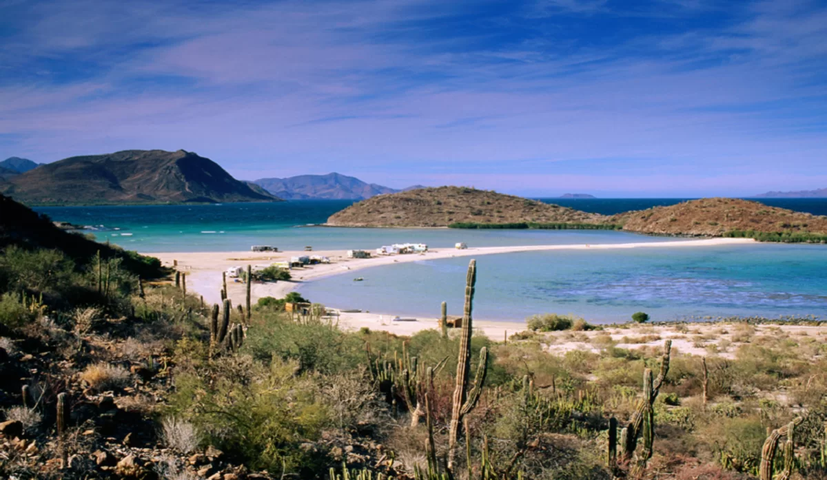 ظهور “سمكة يوم القيامة” يثير الهلع! (فيديو)