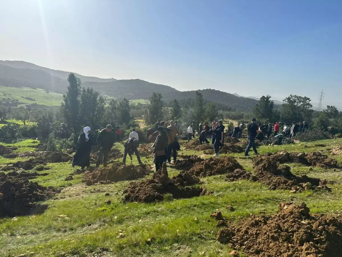 غدا.. حملات تشجير واسعة بكامل تراب الجمهورية