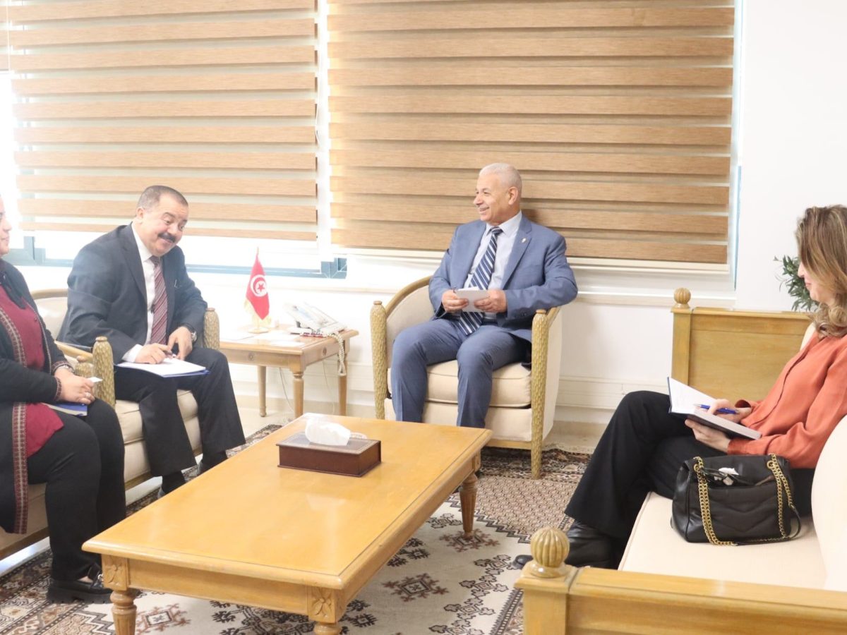 المنظمة الأممية للتنمية الصناعية: سنفذ مشاريع متنوعة في تونس