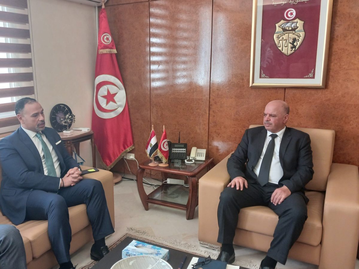 خط بحري بين البلدين في لقاء وزير النقل بالسفير المصري