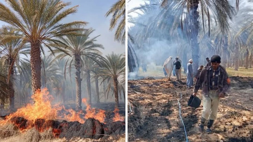 قبلي/ اندلاع حريق بواحة رجيم معتوق 2
