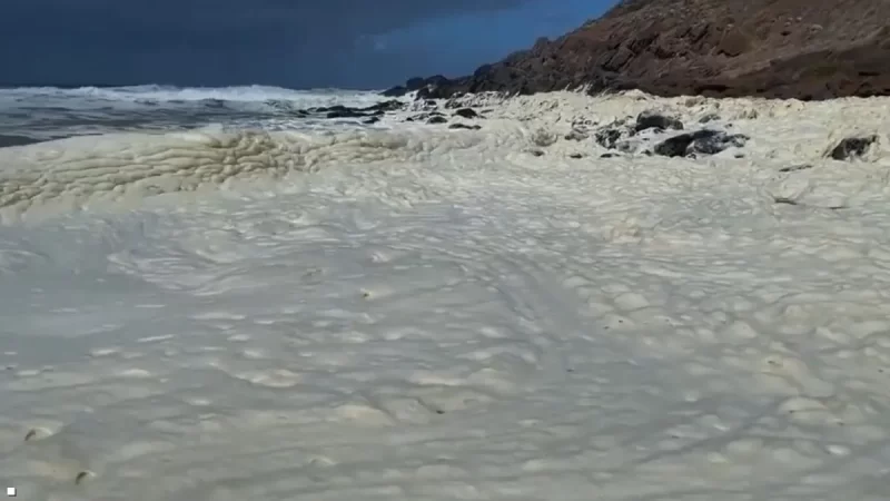رغوة غريبة وأسماك نافقة تغزو شواطئ أستراليا