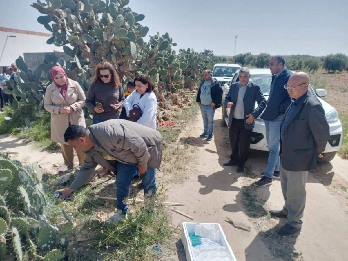 نشر 1200 دعسوقة بالقصرين (صور)