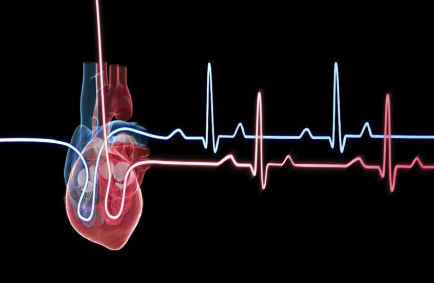 “قلب ثان” في جسم الإنسان.. اكتشاف يفتح آفاقا علاجية واعدة