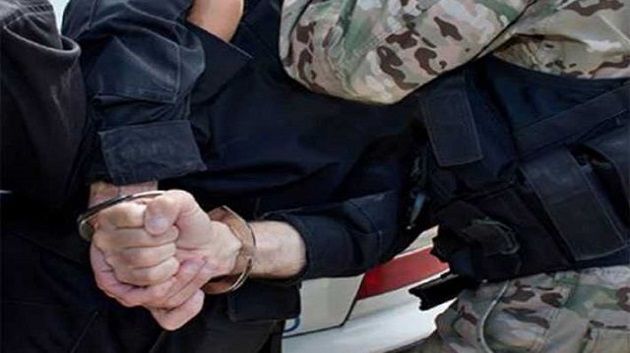 بينها أمعاء حيوانية/ إحباط تهريب بضائع بقيمة 500 ألف دينار