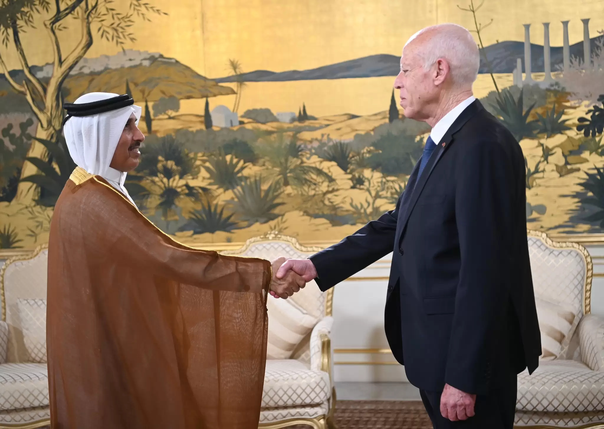 الرئيس قيس سعيد