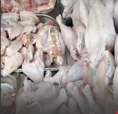 منوبة.. حجز دجاج مذبوح بمسلخ عشوائي