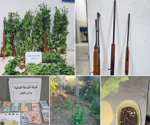 زراعة مادة مخدرة