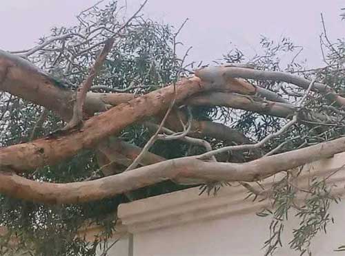 عاصفة رملية