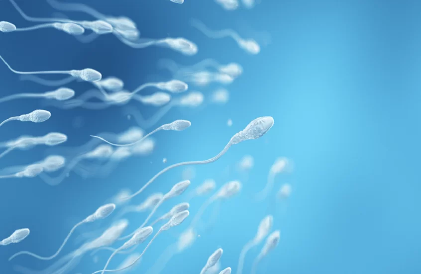 ADAM.. وسيلة منع حمل ذكورية آمنة وفعالة ADAM.. وسيلة منع حمل ذكورية آمنة وفعالة