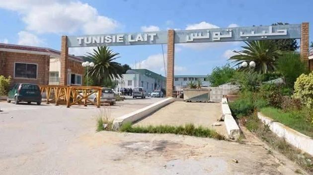 إحالة مصنع ألبان سيدي بوعلي إلى صندوق الودائع و الأمانات