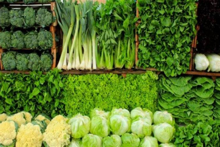 الخضار الورقية الأكثر فائدة لكبار السن