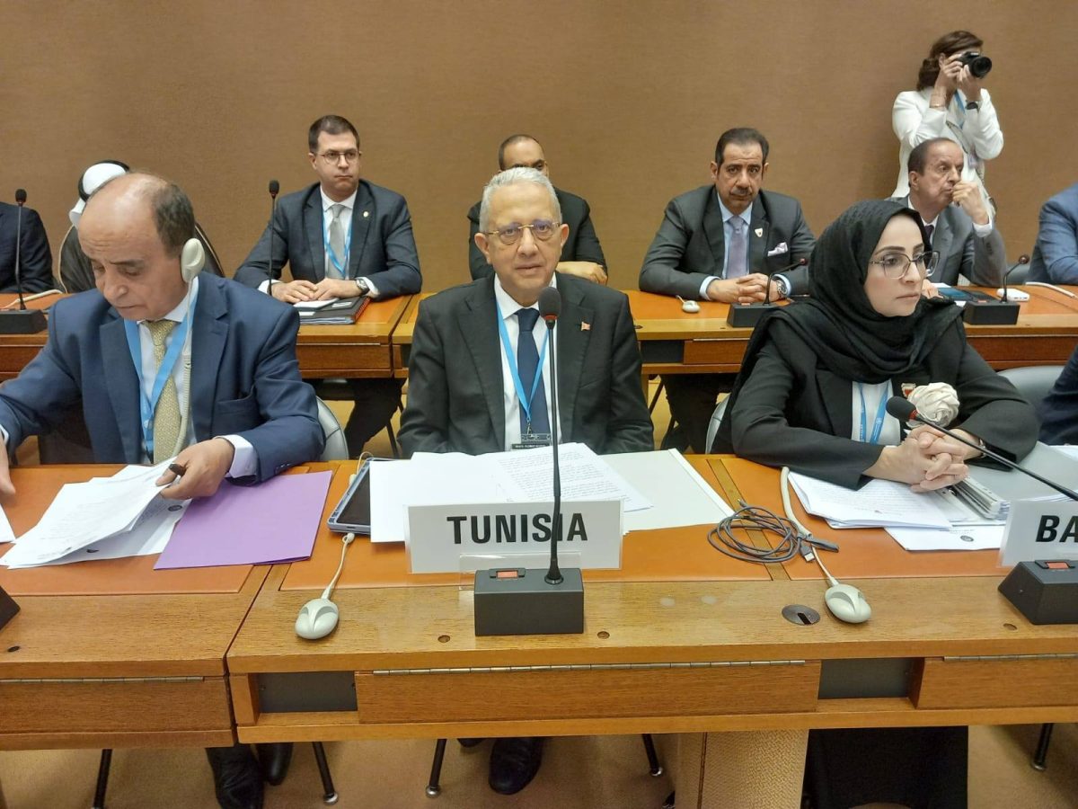 الفرجاني يدعو إلى إنشاء منصة عربية للصحّة