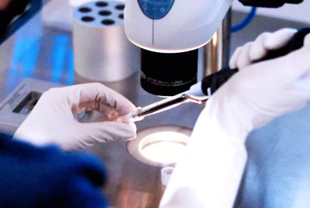 تقنيات الإخصاب الحديثة تعيد الأمل لمن تأخر إنجابهم