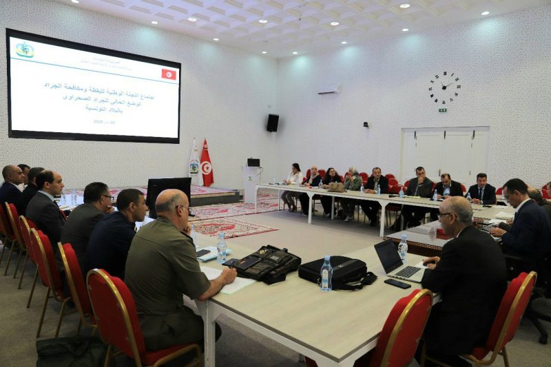 توصيات اللجنة الوطنية لليقظة ومكافحة الجراد