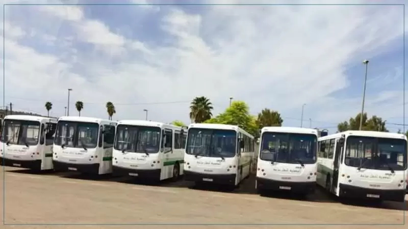 حافلة جديدة