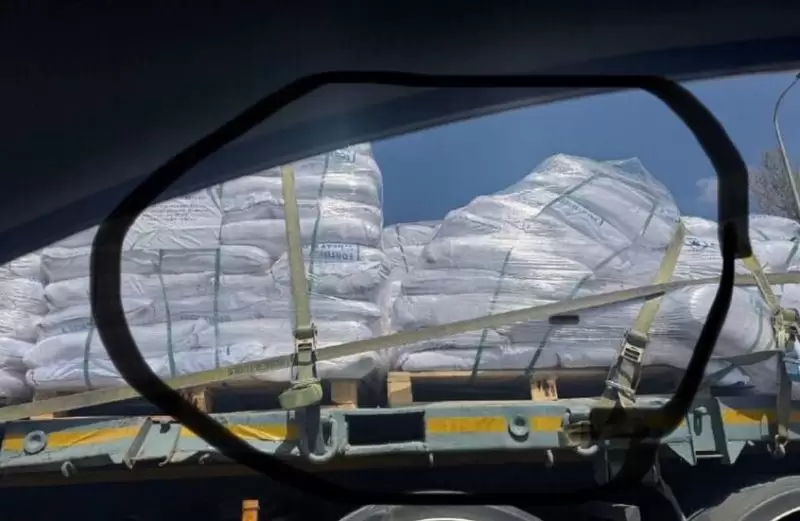 مساعدات غزة الإنسانية.. الأكفان بدلا من الطعام؟