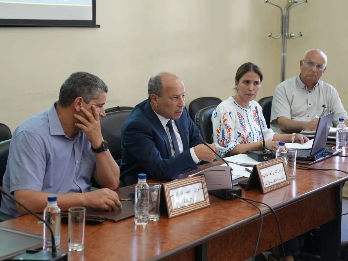 مستجدات مشروع الربط الكهربائي بين تونس وإيطاليا