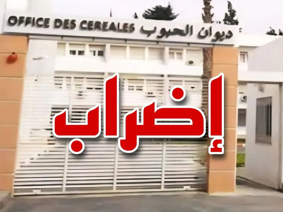 أعوان ديوان الحبوب يلوّحون بالإضراب