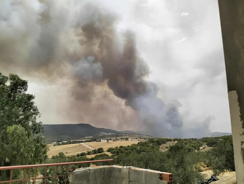 اندلاع حريق بجبل منصور