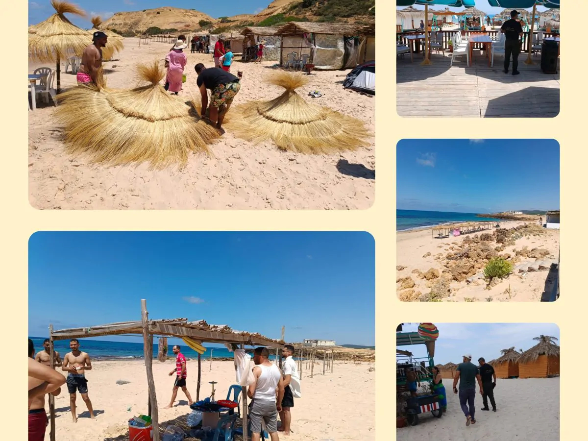 بنزرت/ حملة ضخمة على الشواطئ هذه نتائجها